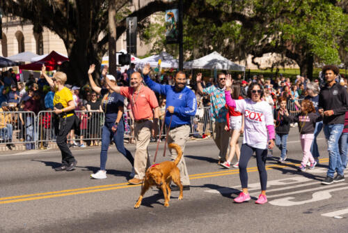 SPringtimeMusicFestParade-1646